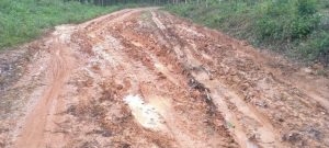 Akses Jalan Penghubung Desa Mulya – Tanjung Keputran Muba belum Tersentuh Pembangunan
