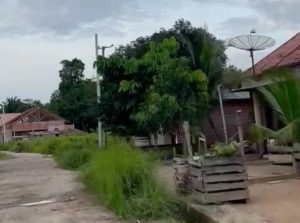 Memilukan, Puluhan Tahun Desa Ulak Kembang Kabupaten Muba tak dialiri Listrik