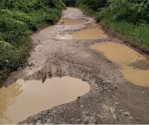 Dambakan Perbaikan Jalan, Ini Kata Warga Desa Teluk Kijing III Muba