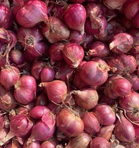 Harga Cabai Turun Drastis, Ini Dampak Besar Bagi Perekonomian Sumsel!