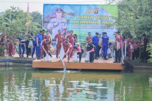 Panen Raya Ikan 2,5 Ton : Inisiatif Hebat Polda Sumsel untuk Kemandirian Pangan!