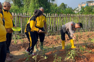 Panen Raya di Kebun Ketahanan Pangan Polda Sumsel! Hasilnya Dibagikan Gratis ke Warga