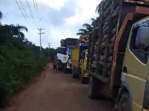 Akses Jalan Ditutup Sepihak! Puluhan Sopir Kelaparan dan Tak Bisa Buka Puasa