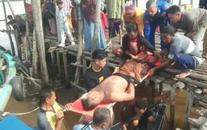 Aksi Heroik! Polisi Airud Sumsel Evakuasi Warga Stroke Lewat Jalan Kayu, Selamatkan Nyawa di Detik-Detik Genting