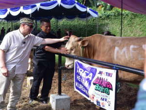 Gandeng Yatuna, JNE dan TIKI Kurban 213 Hewan : Ini Makna dan Promo Kejutannya!