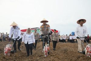 Waka Polda Sumsel Hadiri Tanam Jagung Serentak! Target 177 Ribu Ton, Petani Dapat Sembako