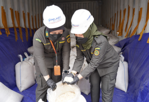 Ekspor Perdana : 19,7 Ton Kolang-Kaling Sumsel Resmi Tembus Pasar Thailand