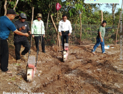 Tak Perlu Lahan Luas, H. Arlan Buktikan Ketahanan Pangan Bisa Dimulai dari Pekarangan Rumah