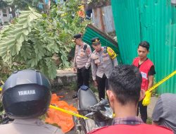 Tragis di Siang Bolong! Pengendara Ojol Tewas Tertimpa Pohon Tumbang di Depan Samsat Palembang