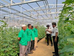 Tanam 900 Bibit Melon, Rutan Palembang Lanjutkan Program Kemandirian Warga Binaan