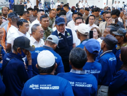 Menko Pangan Puji Herman Deru! Sumsel Jadi Kunci Indonesia Stop Impor Beras