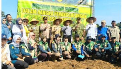 Pemkab Lahat Tanam Jagung Hibrida Bersama TNI, Perkuat Swasembada Pangan