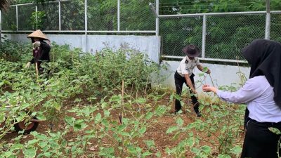 Rutan Kelas I Palembang Panen Terong dan Kangkung, Dukung Program Ketahanan Pangan