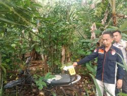 Terungkap! Kasus “Amuk Massa” di Kebun Kopi OKU Selatan Ternyata Pembunuhan