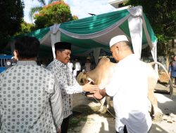 Kapolda Sumsel Salurkan Ratusan Hewan Kurban, Warga hingga PHL Jadi Prioritas