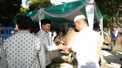Kapolda Sumsel Salurkan Ratusan Hewan Kurban, Warga hingga PHL Jadi Prioritas