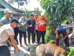 Forum Jurnalis Berbagi Tebar Daging Kurban untuk Warga Palembang di Iduladha 2026
