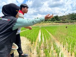Kisah Sutarni Mengangkat Kesejahteraan Petani Melalui Pertanian Organik