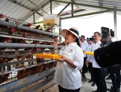 Kunjungi Nusakambangan, Ketua Komisi IV DPR RI Kagum dengan Program Ketahanan Pangan Pemasyarakatan