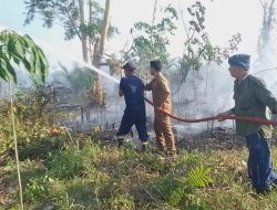 Musim Kemarau Mulai Mengancam, Kebakaran Lahan Melanda Perkebunan Warga di Lubai