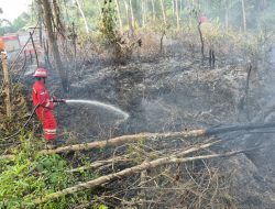 Jaga Keselamatan Bersama, PHR Zona 4 Respons Cepat Tangani 113 Titik Karhutla di Sumsel