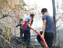 Kebakaran Lahan Mengganas di Desa Menanti Lubai, Kebun Karet Warga Ikut Terancam