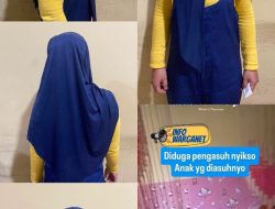 Gerak Cepat, Polda Sumsel Amankan Pengasuh Penganiaya Balita di Sukarami, Videonya sempat Viral