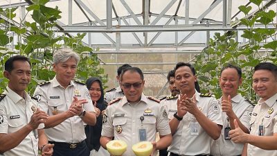 Panen Melon di SAE Rutan Palembang, Dari Lahan Pembinaan Jadi Bekal Kemandirian Warga Binaan