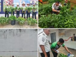 Karutan Kelas I Palembang Bersama Jajaran Panen Kangkung, Dukung Ketahanan Pangan dan Optimalisasi Lahan Produktif